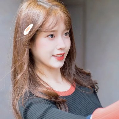 月季花开