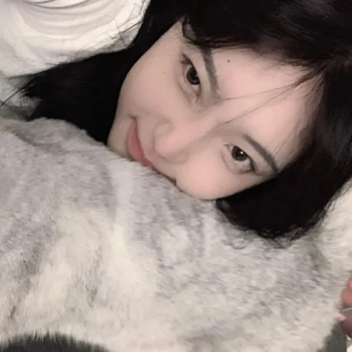 玫瑰骑士